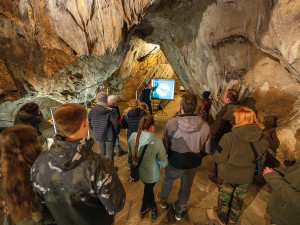 Největší úkryt pro netopýry a vrápence. V Javoříčských jeskyních zimují tisíce letounů