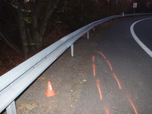 Opilý šofér ujížděl na Olomoucku celníkům. Po bouračce ho vystopoval policejní pes
