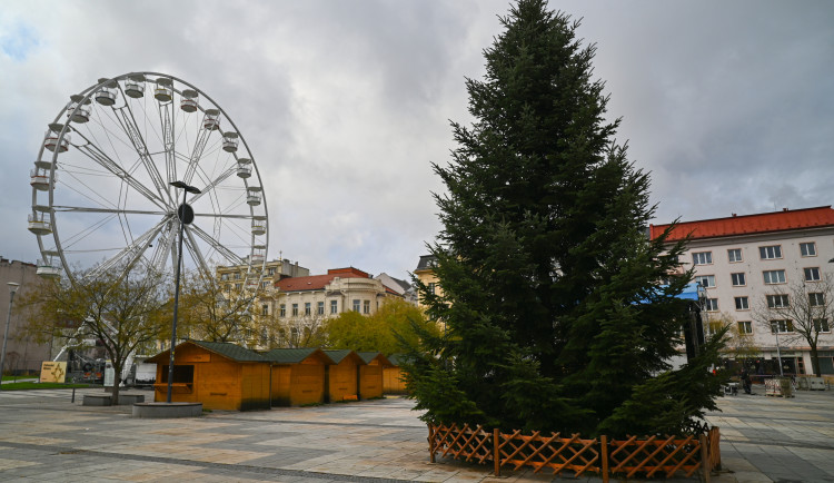 FOTO: Na Masarykově náměstí stojí strom, přípravy na Ostravské Vánoce finišují