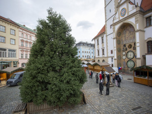 Přípravy na vánoční trhy v Olomouci finišují, rozhled na dřevěné městečko nabídne nová vyhlídka
