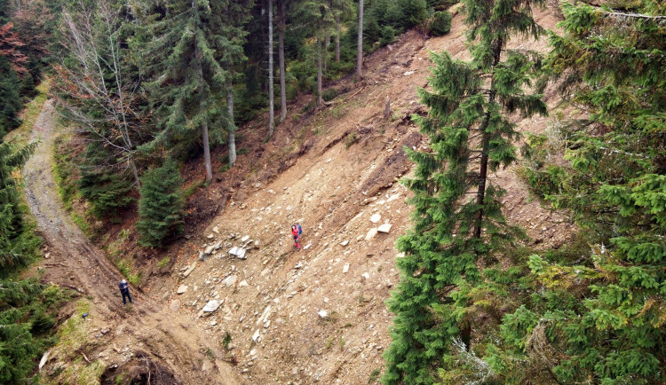 Začátek sesuvu ve smrčině nad Milionovou cestou. Cesta těsně po opravě. Dolní část severního svahu Velkého Klínovce.