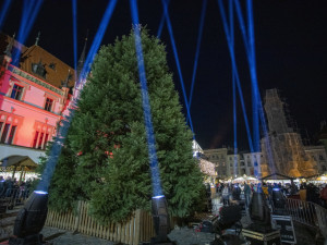 Světelná show zahájila olomoucké Vánoce. Na Hané září sekvojovec jménem Floriánek