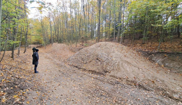 Cyklotrasy, studánka, tůně i nová výsadba. Šumperský příměstský les prošel řadou úprav