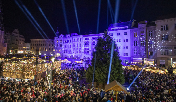 ANKETA: Olomoucký vánoční strom bez baněk. Výjimečný sekvojovec má obdivovatele i kritiky