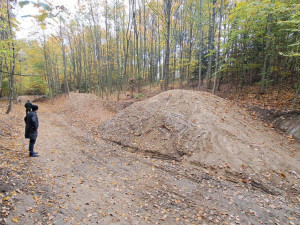 Cyklotrasy, studánka, tůně i nová výsadba. Šumperský příměstský les prošel řadou úprav