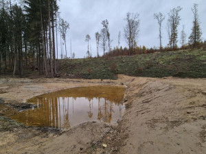 Cyklotrasy, studánka, tůně i nová výsadba. Šumperský příměstský les prošel řadou úprav