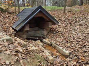 Cyklotrasy, studánka, tůně i nová výsadba. Šumperský příměstský les prošel řadou úprav