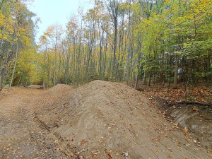 Cyklotrasy, studánka, tůně i nová výsadba. Šumperský příměstský les prošel řadou úprav