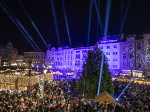 ANKETA: Olomoucký vánoční strom bez baněk. Výjimečný sekvojovec má obdivovatele i kritiky