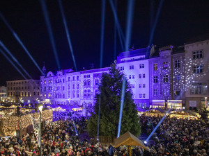 ANKETA: Olomoucký vánoční strom bez baněk. Výjimečný sekvojovec má obdivovatele i kritiky