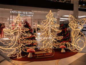 Zcela novou výzdobu, vánoční dílničky i unikátní betlém s další olomouckou osobností najdete v Galerii Šantovka