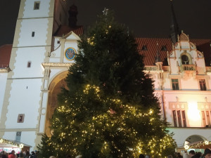 Světýlka vánočního stromu v Olomouci poškodil zkrat, lidé se podivovali potemnělému středu sekvojovce