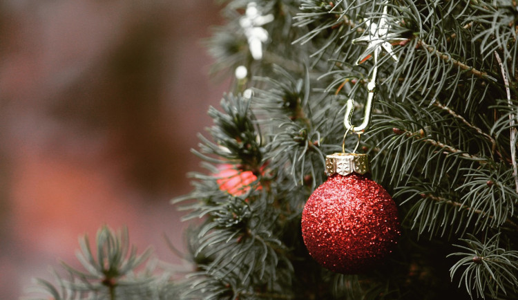 Svoz vánočních stromků odstartuje v lednu, Hradec je připraven na posváteční úklid