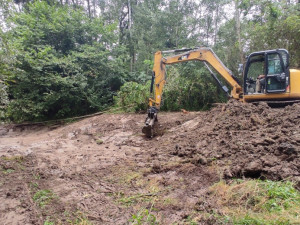V Litovelském Pomoraví je desítka nových tůní. Domov zde najdou vzácné druhy, jako jsou žebratka nebo čolek