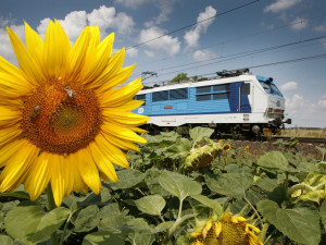 Setkání legend. Železničáři se v Olomouci rozloučí s lokomotivami přezdívanými banán nebo dvojka