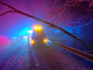 O Vánocích hasiči řešili požáry, ale zachraňovali také káně, sýčka z větrací šachty a dron ze stromu