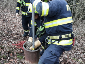 O Vánocích hasiči řešili požáry, ale zachraňovali také káně, sýčka z větrací šachty a dron ze stromu