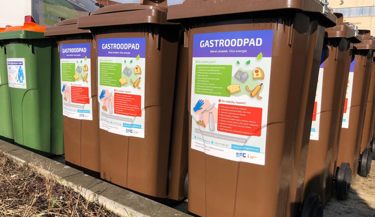 1666602439399-124-308522848-387943003533431-6872217671067242654-n