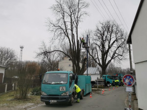 Chomoutov se snaží na poslední chvíli odvrátit kácení dvou historických kaštanů. Jsou nebezpečné, tvrdí město