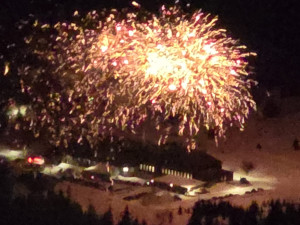 VIDEO: Peklo na Silvestra. V Tršicích petardy usmrtily pávy, ohňostroj byl i na přísně chráněné Ovčárně