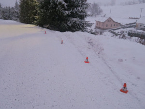 Stromy v prudkém srázu zastavily u Pustých Žibřidovic osobní vůz, který dostal smyk. Zraněn nebyl nikdo