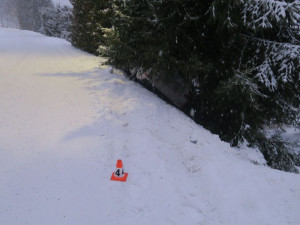 Stromy v prudkém srázu zastavily u Pustých Žibřidovic osobní vůz, který dostal smyk. Zraněn nebyl nikdo