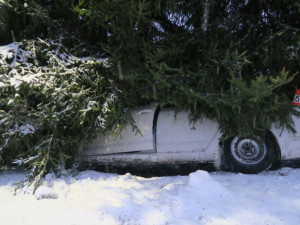 Stromy v prudkém srázu zastavily u Pustých Žibřidovic osobní vůz, který dostal smyk. Zraněn nebyl nikdo