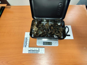 VIDEO: Slovák vezl ve vlaku stovky lysohlávek, odhalila ho fenka olomouckých celníků Dona