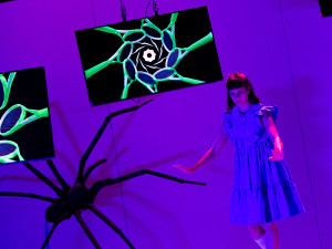 V Moravském divadla Olomouc ožije magický svět Jeníčka a Mařenky. Premiéra je v pátek