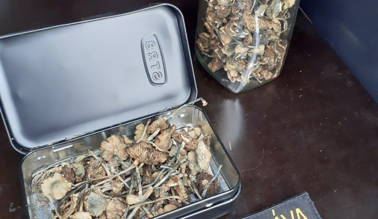 Slovák vezl ve vlaku stovky lysohlávek, odhalila ho fenka olomouckých celníků Dona