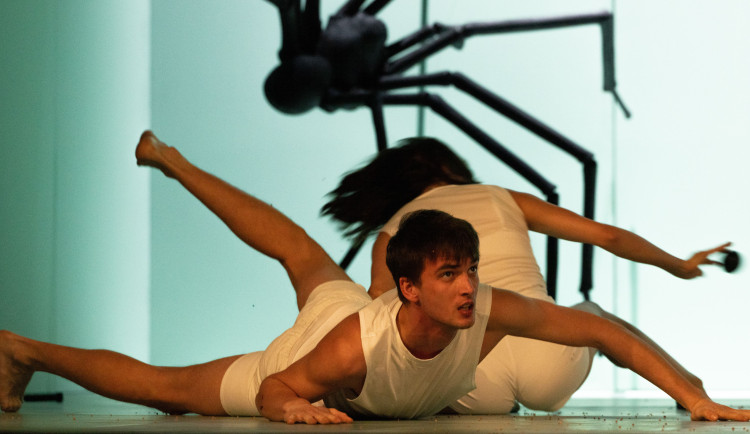 V Moravském divadla Olomouc ožije magický svět Jeníčka a Mařenky. Premiéra je v pátek