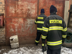 Devět trpících psů včetně štěňat skončilo v útulku v Mohelnici. Žili v garáži nebo ve vozíku od auta