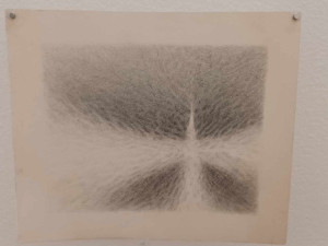 FOTOGALERIE: Prostějovské muzeum dalo prostor středoškoláků. Představilo jejich originální tvorbu