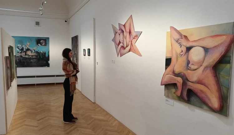 FOTOGALERIE: Prostějovské muzeum dalo prostor středoškoláků. Představilo jejich originální tvorbu