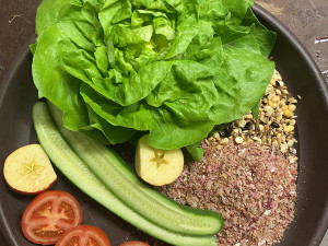 Krmná dávka v Zoo Olomouc - čája