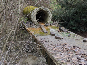 Tajné podzemní chodby až na Kosíř? Revitalizace rybníků v Čechách pod Kosířem oživila dávné pověsti