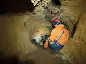 U krápníků se skrývají tisíce vrápenců a netopýrů. Javoříčské jeskyně potvrdily republikové prvenství