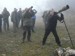 TIP NA VÍKEND: Ornitologové zvou na pozorování na Annínském jezeře u Tovačova a Malé laguně v Přerově