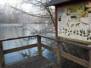 TIP NA VÍKEND: Ornitologové zvou na pozorování na Annínském jezeře u Tovačova a Malé laguně v Přerově