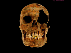 Voják z Majetína používal zuby k otevírání nábojů. Olomoučtí archeologové přišli s unikátním zjištěním