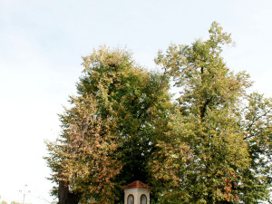 Voják z Majetína používal zuby k otevírání nábojů. Olomoučtí archeologové přišli s unikátním zjištěním