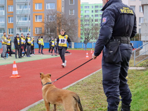 Zvažuješ práci u policie a máš obavy z fyzických testů?