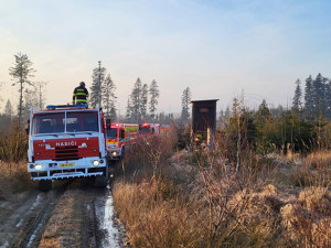 Hasiči ze dvou krajů krotili lesní požár na Šternbersku. Pomáhal i dron s termovizí