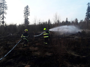 Hasiči ze dvou krajů krotili lesní požár na Šternbersku. Pomáhal i dron s termovizí