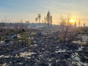 Hasiči ze dvou krajů krotili lesní požár na Šternbersku. Pomáhal i dron s termovizí