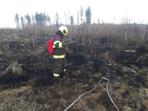 Hasiči ze dvou krajů krotili lesní požár na Šternbersku. Pomáhal i dron s termovizí