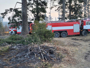 Hasiči ze dvou krajů krotili lesní požár na Šternbersku. Pomáhal i dron s termovizí