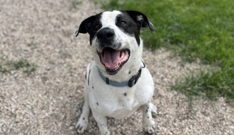 1722338779201-124-edie