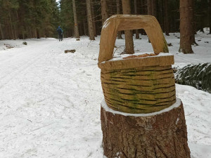 TIP NA VÝLET: Kouzelná procházka k Dalimilově rozhledně a na Paprsek je i pro malé děti
