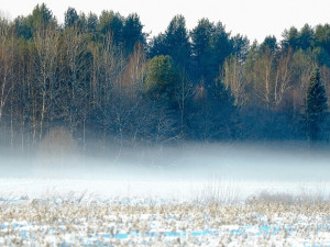 Meteorologové varují před silným mrazem až minus šestnáct. Zasáhne sever Olomouckého kraje